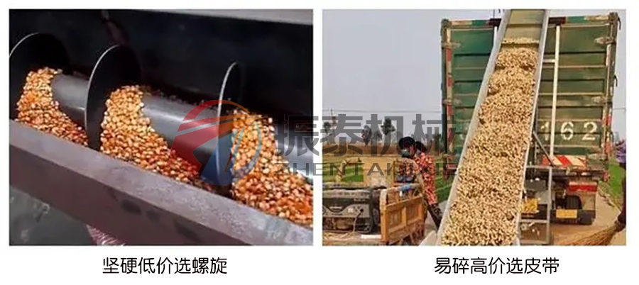 糧食螺旋輸送機和糧食皮帶輸送機使用上有什么區(qū)別？